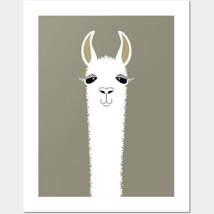 LLAMA PORTRAIT #1 Posters and Art